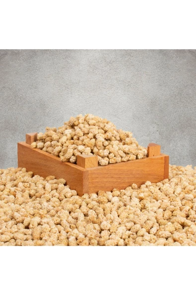 REFA GIDA Dut Kurusu 250gr