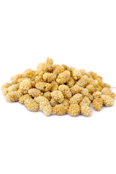 GÖKMER YÖRESEL ŞARKÜTERİ Dut Kurusu 1 kg ürün görseli 1