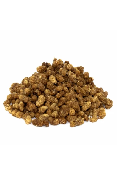 Aktarzane Dut Kurusu Gümüşhane 1000gr