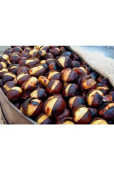 Emirhan Bursa Kestanesi 1000gr Jumbo Boy Kestane - 2