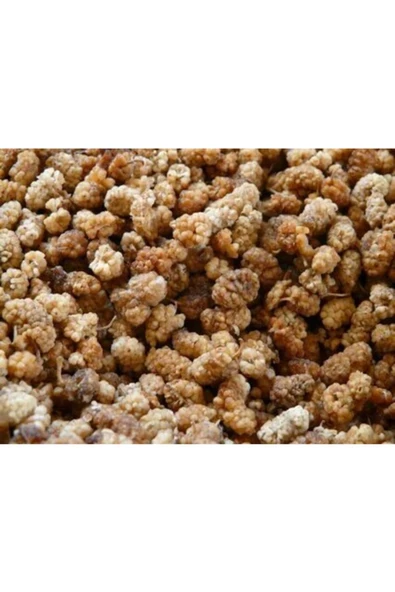 RavzanınBahçesi Dut Kurusu 1 kg - 2