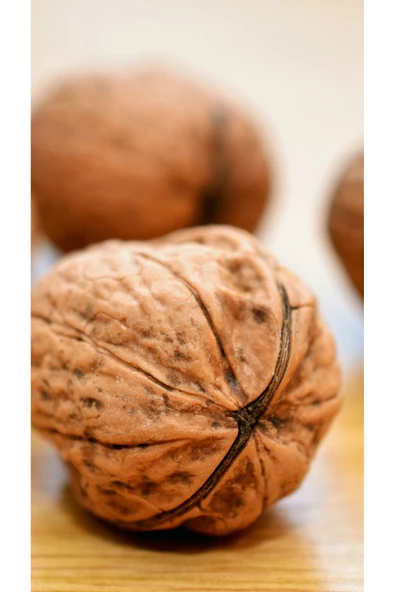 GURUYEMİŞ BOX kabuklu ceviz 1kg - 2