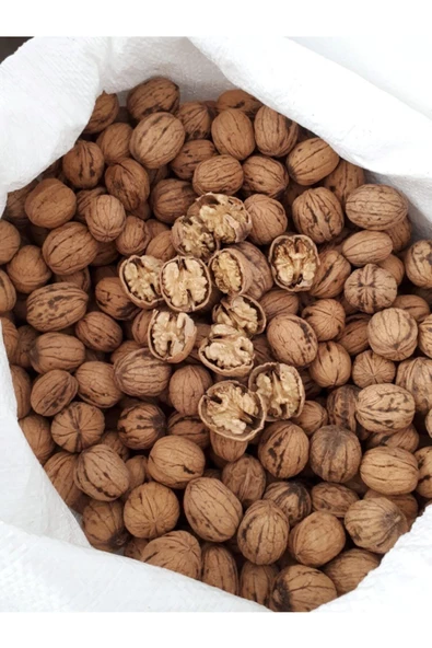 Ceviz Organik Yeni Mahsul Niksar Kabuklu 1kg - 2
