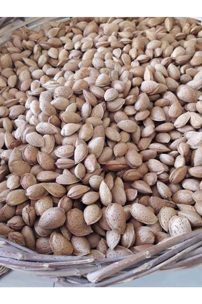 Akdeniz Yöresel BADEM 1 KG'LIK (KABUKLU)