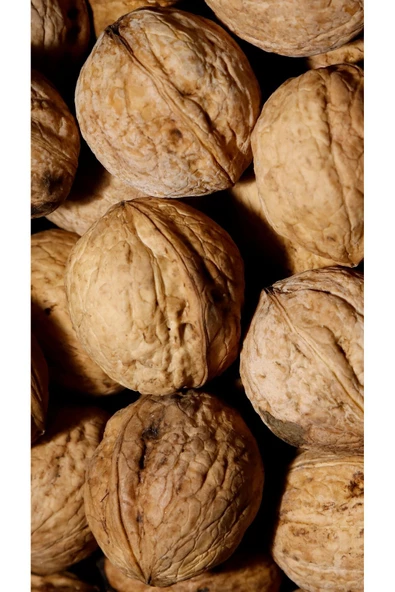 GURUYEMİŞ BOX Kabuklu Ceviz 500gr - 2