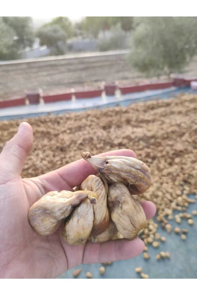 KARAOT Kuru Incir Üreticiden Organik Sertifikalı 1kg - Resim 3