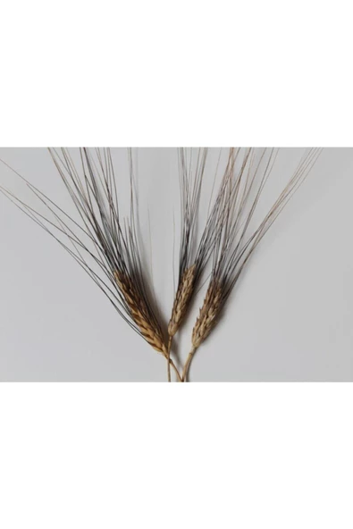 İpekova Gıda Pilavlık Karakılçık Bulguru 1 kg - 2