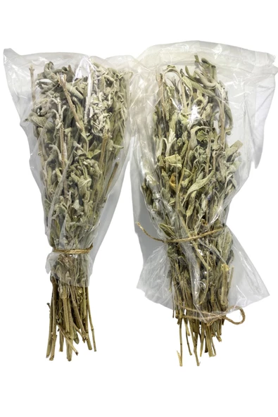 GURUYEMİŞ BOX Adaçayı 50-60gr Iki Demet Sage Bitki Çayı - 2