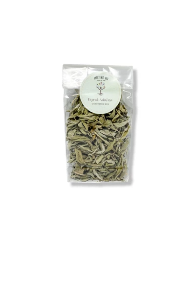 GURUYEMİŞ BOX Yaprak Adaçayı 50gr Bitki Çayı - 2