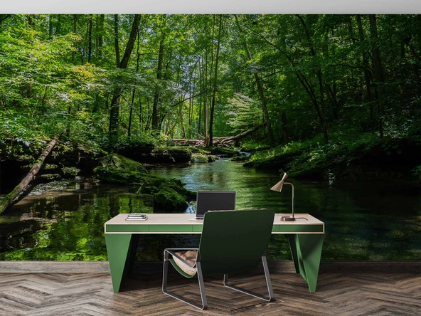 Nehir Manzaralı Duvar Kağıdı Baskı - Resim 4