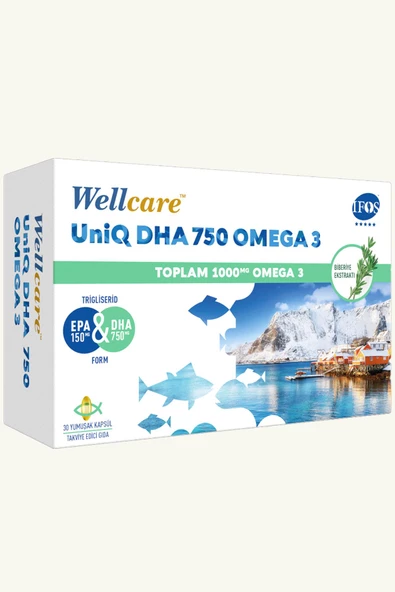 Wellcare Omega 3 Balık Yağı 750 mg 30 Kapsül