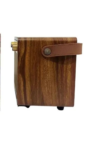 Karaoke Mikrofonlu Bluetooth Speaker 10W 4" Mikrofonlu Kablosuz Haparlör - 2