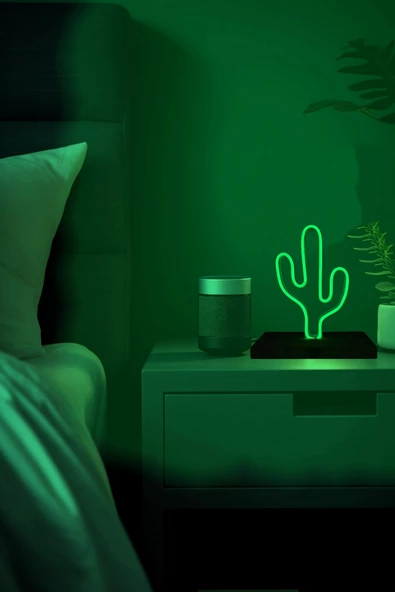 Işıklı Tablo Marketi Cactus Figürlü Neon Gece Lambası