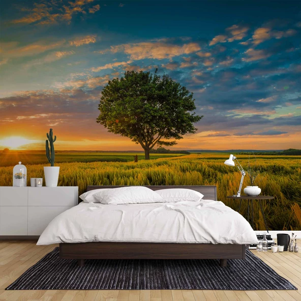 Bulut Ağaç Gündoğumu Manzaralı Duvar Kağıdı Baskı - Resim 2