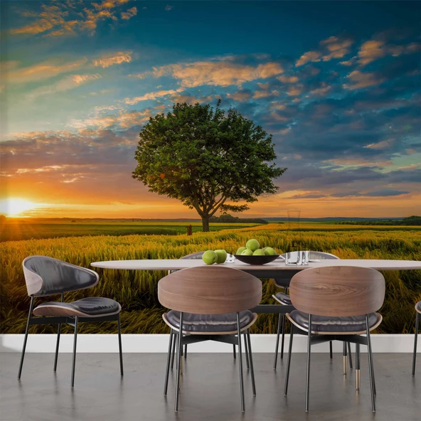 Bulut Ağaç Gündoğumu Manzaralı Duvar Kağıdı Baskı - Resim 5
