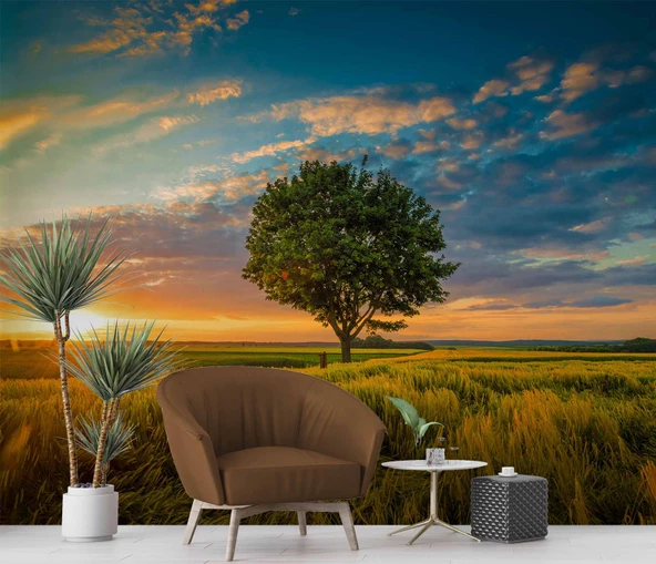 Bulut Ağaç Gündoğumu Manzaralı Duvar Kağıdı Baskı - Resim 6