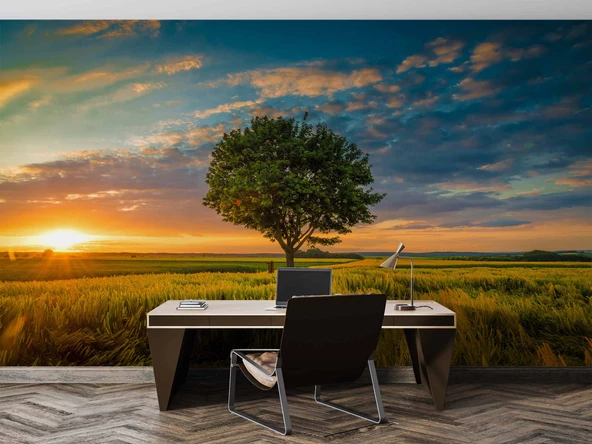 Bulut Ağaç Gündoğumu Manzaralı Duvar Kağıdı Baskı - Resim 4