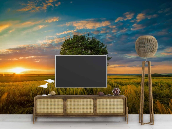 Bulut Ağaç Gündoğumu Manzaralı Duvar Kağıdı Baskı - Resim 3