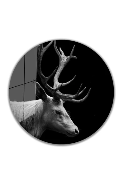 AlpiLeo Geyik Yuvarlak Alp Özel Cam Tablo 4mm Dayanıklı Temperli Cam ürün görseli 1