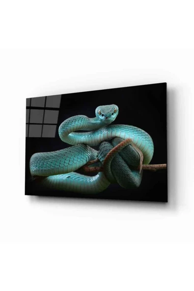 AlpiLeo Yılan 5 Hayvan Alp Özel Cam Tablo ürün görseli 1