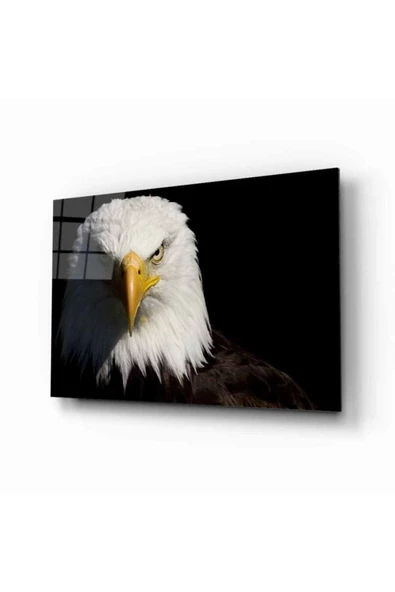 AlpiLeo Kartal 7 Hayvan Alp Özel Cam Tablo ürün görseli 1