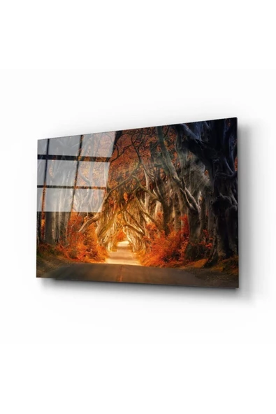 AlpiLeo Orman Alp Özel Cam Tablo ürün görseli 1