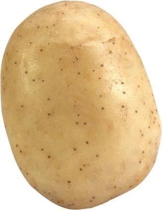 Melody Patates Tohumu 5 Kg