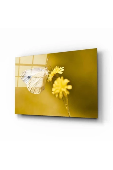 AlpiLeo Kelebek Alp Özel Cam Tablo ürün görseli 1