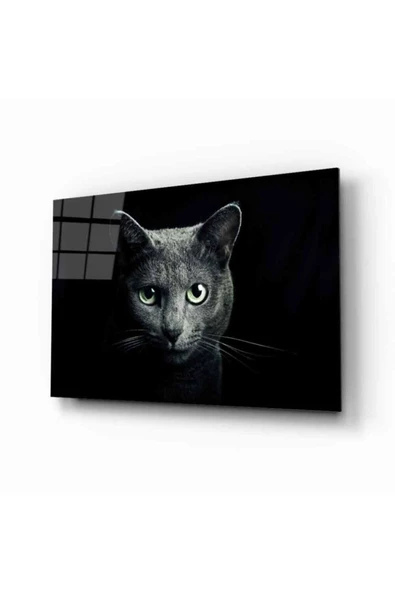 AlpiLeo Kedi 8 Hayvan Alp Özel Cam Tablo