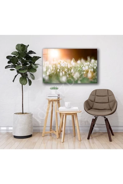 AlpiLeo Doğa Manzara Alp Özel Cam Tablo 4mm Dayanıklı Temperli Cam - Resim 2