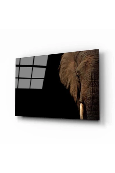 AlpiLeo Fil 1 Alp Özel Cam Tablo ürün görseli 1