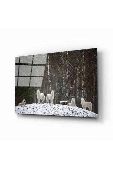 AlpiLeo Beyaz Kurt Alp Özel Cam Tablo ürün görseli 1