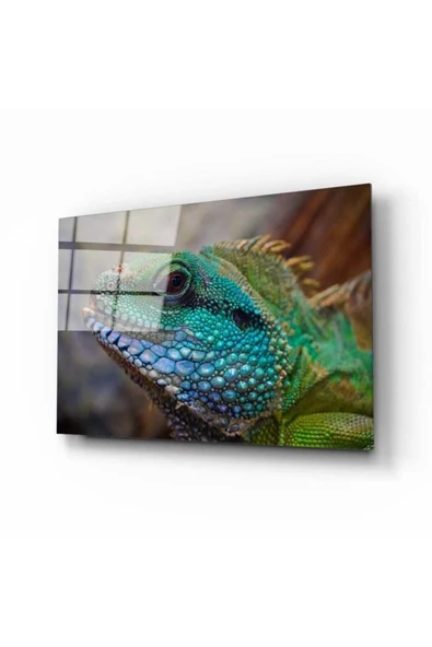 AlpiLeo Iguana Alp Özel Cam Tablo ürün görseli 1