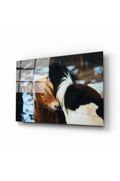 AlpiLeo Atlar Alp Özel Cam Tablo ürün görseli 1