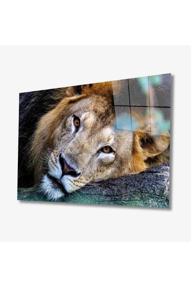 AlpiLeo Aslan Hayvan Alp Özel Cam Tablo 4mm Dayanıklı Temperli Cam ürün görseli 1