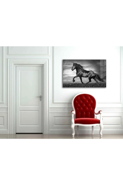 AlpiLeo At 7 Hayvan Alp Özel Cam Tablo - Resim 2