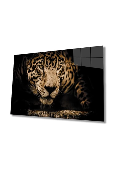 AlpiLeo Kaplan Hayvan Vahşi Alp Özel Cam Tablo, Ev Ve Ofis Duvar Dekoru ürün görseli 1