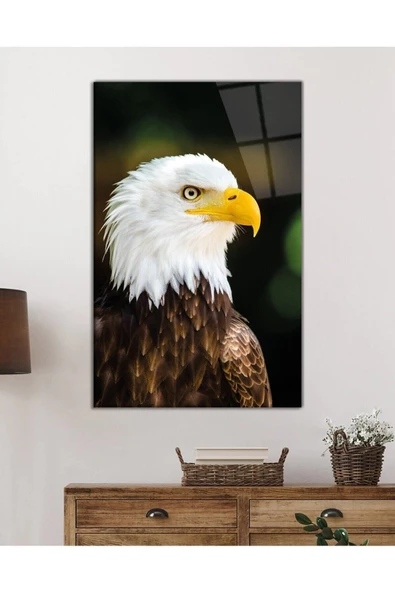 AlpiLeo Kartal Hayvan Portresi Alp Özel Cam Tablo, Ev Ve Ofis Duvar Dekoru - Resim 2