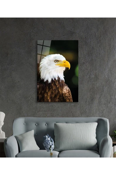 AlpiLeo Kartal Hayvan Portresi Alp Özel Cam Tablo, Ev Ve Ofis Duvar Dekoru - Resim 3