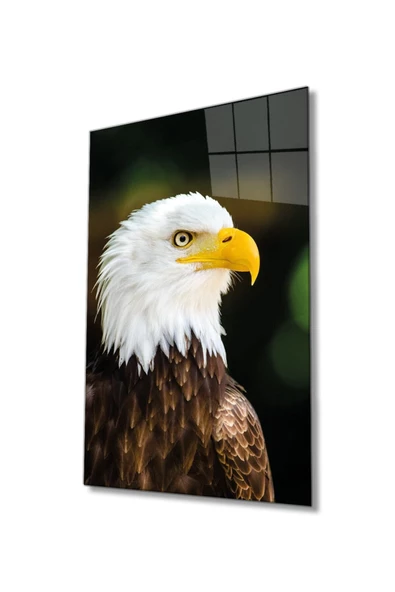 AlpiLeo Kartal Hayvan Portresi Alp Özel Cam Tablo, Ev Ve Ofis Duvar Dekoru ürün görseli 1