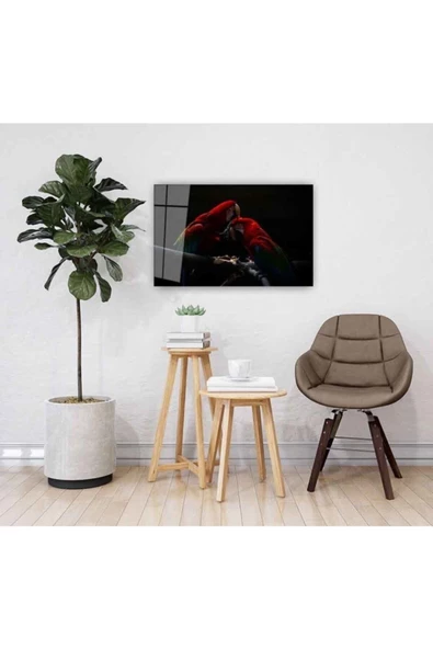 AlpiLeo Papağan Alp Özel Cam Tablo 4mm Dayanıklı Temperli Cam - Resim 2