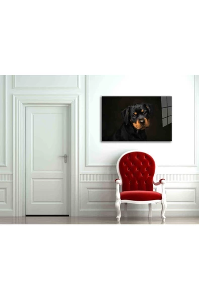 AlpiLeo Köpek 6 Alp Özel Cam Tablo - Resim 2