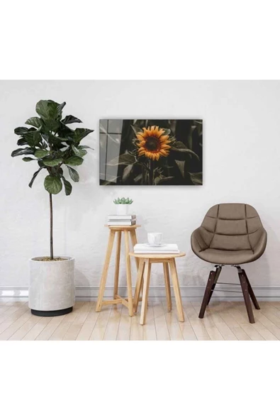 AlpiLeo Ayiçeği Alp Özel Cam Tablo 4mm Dayanıklı Temperli Cam - Resim 2