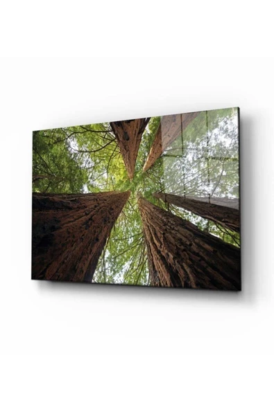 AlpiLeo Doğa Manzara Alp Özel Cam Tablo 4mm Dayanıklı Temperli Cam ürün görseli 1