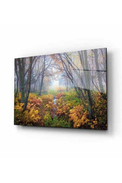 AlpiLeo Doğa Manzara Alp Özel Cam Tablo 4mm Dayanıklı Temperli Cam ürün görseli 1