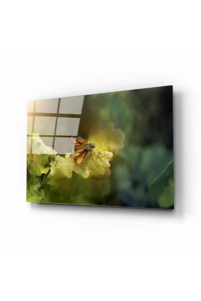 AlpiLeo Kelebek 2 Alp Özel Cam Tablo ürün görseli 1