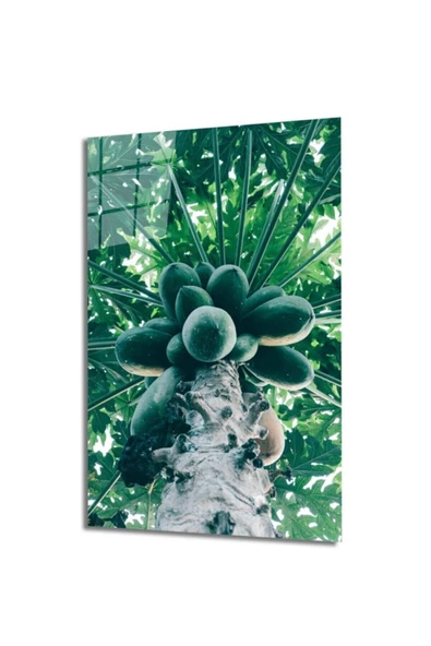 AlpiLeo Meyveler Alp Özel Cam Tablo 4mm Dayanıklı Temperli Cam ürün görseli 1