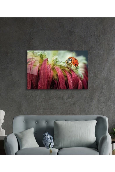 AlpiLeo Uğur Böceği Ve Yaprak Alp Özel Cam Tablo, Ev Ve Ofis Duvar Dekoru, Hediyelik Tablo - Resim 3