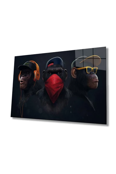 AlpiLeo Maymunlar Alp Özel Cam Tablo ürün görseli 1