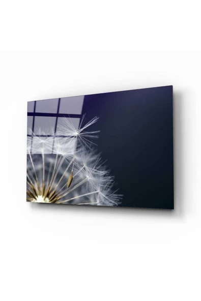 AlpiLeo Tozcuk Alp Özel Cam Tablo ürün görseli 1